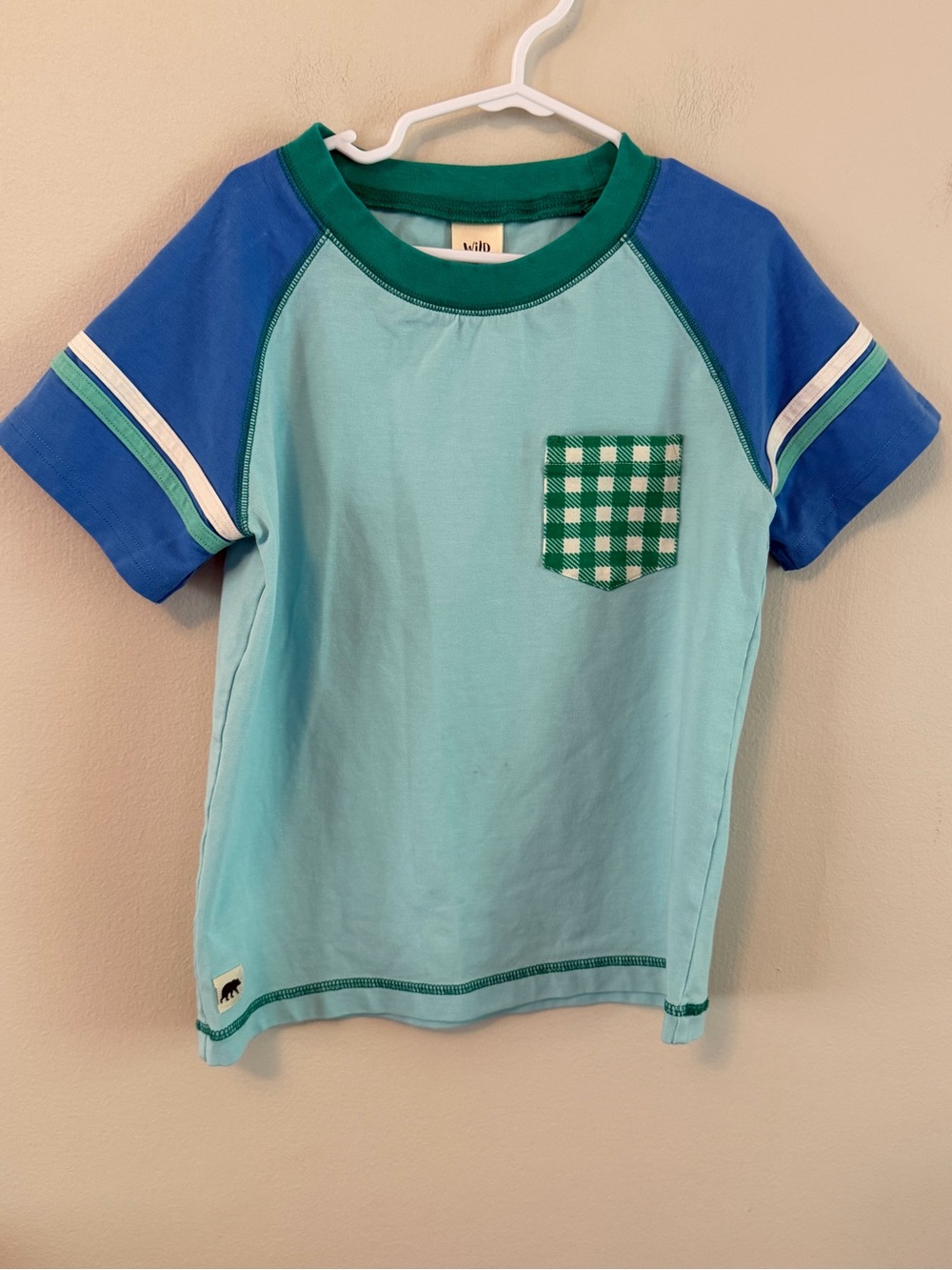 Wild Things Blue & Green Short-Sleeve Raglan Tee with Gingham Pocket